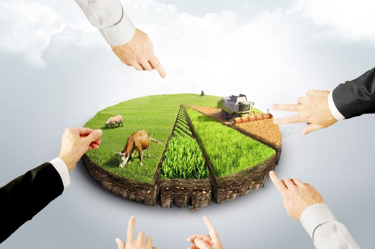 Bursa’da Arsa Yatırımı İçin Rehber